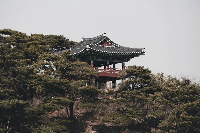 강원도 효도여행