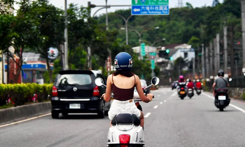 대만 효도여행