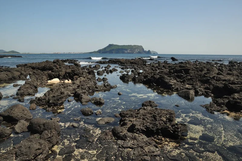 제주도펜션